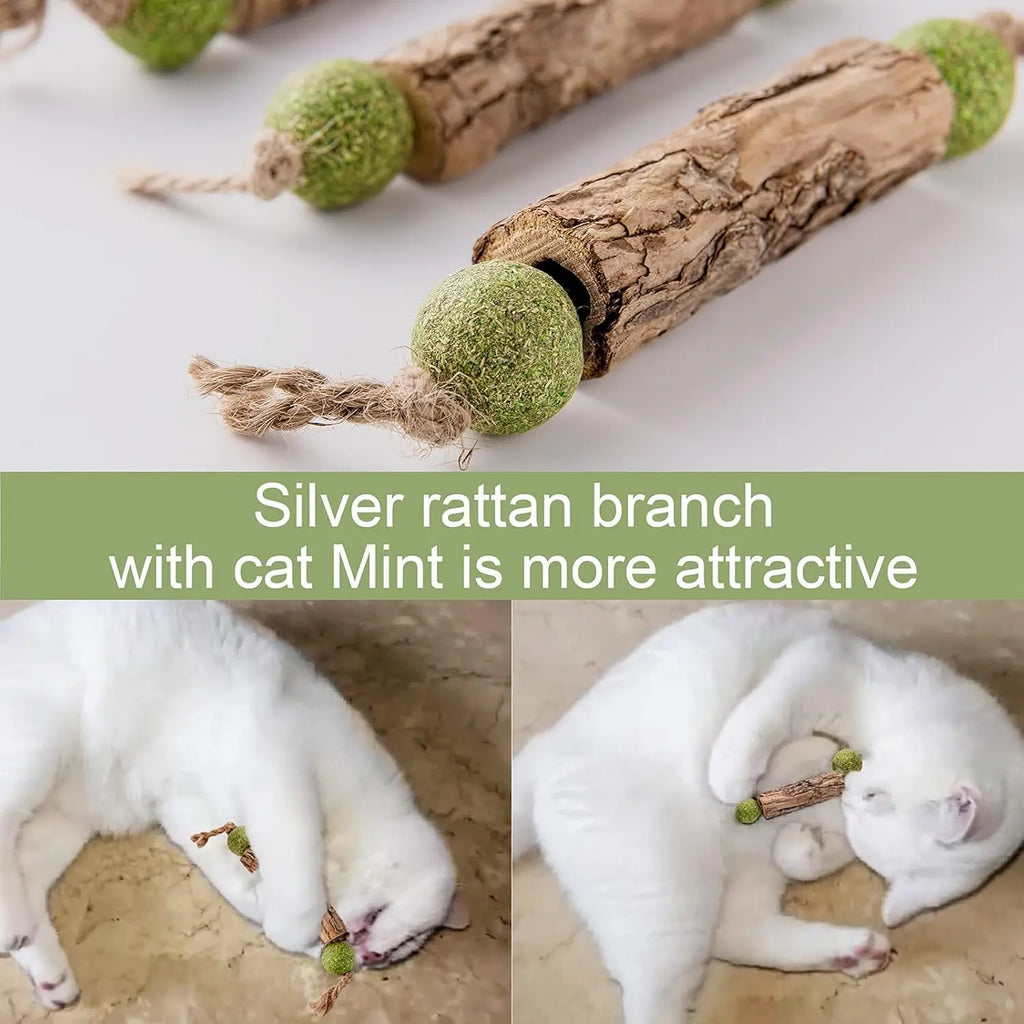 Natural Catnip Dental Stick