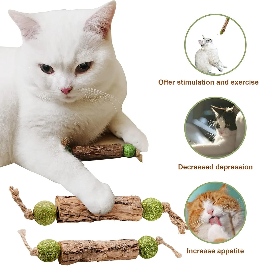 Natural Catnip Dental Stick